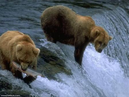 Ours